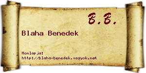 Blaha Benedek névjegykártya