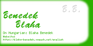 benedek blaha business card